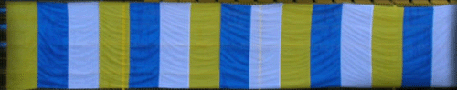 Flaga pasiak